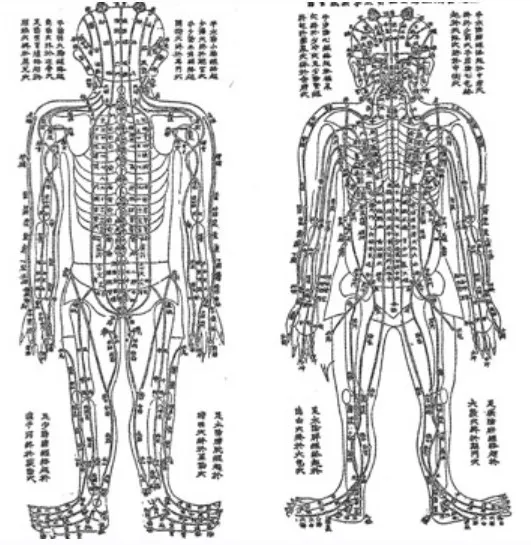 Семинар Лечение постинсультных расстройств методами ТКМ (Цун Лей)