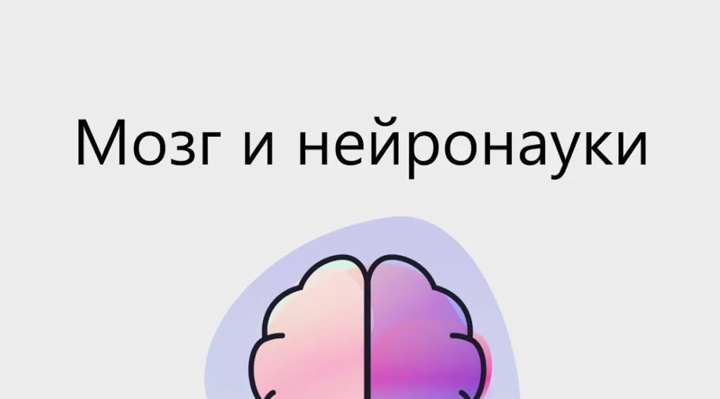 [4Brain] Мозг и нейронауки