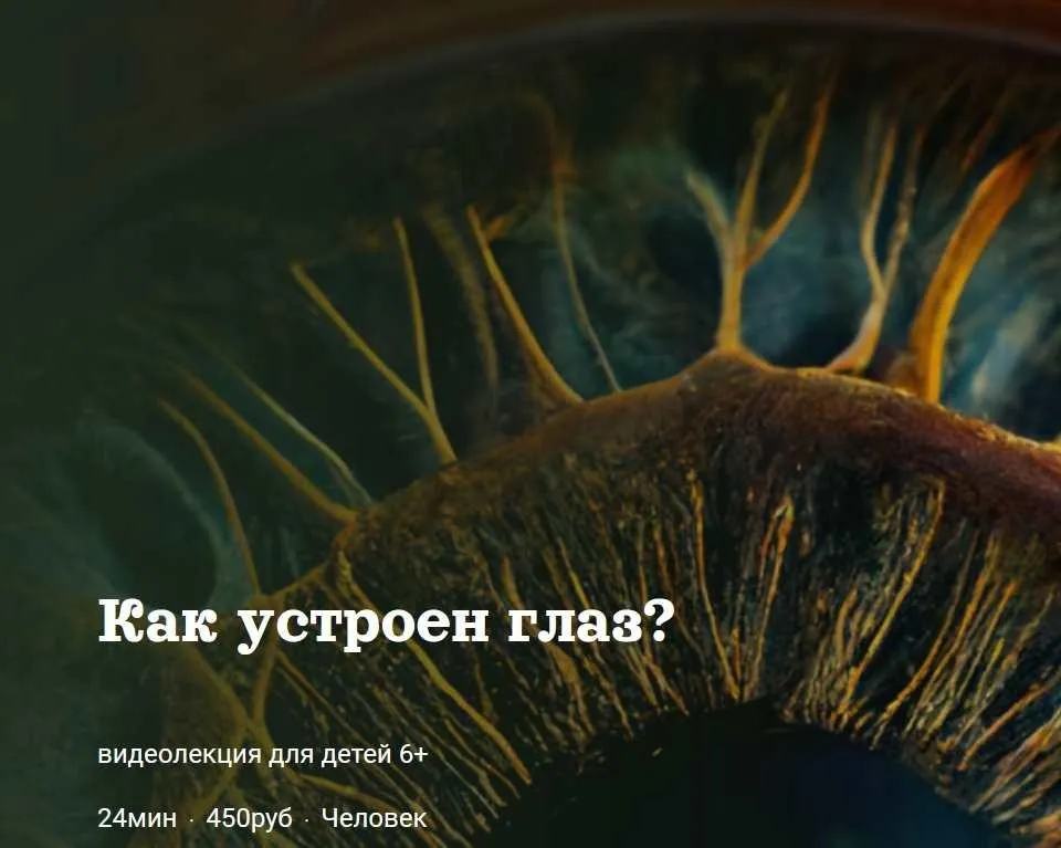 [Детский лекторий] Как устроен глаз? (Александр Толмачев)