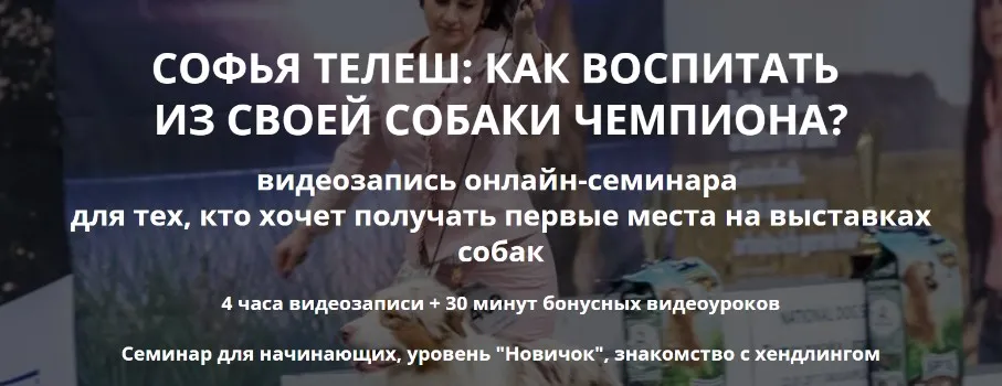 [DogWinner] От щенка до чемпиона (Софья Телеш)