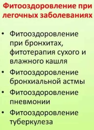 Фитооздоровление при лёгочных заболеваниях (Елена Корсун)