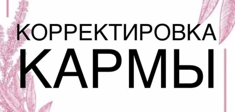 Корректировка кармы (Денис Баландин)