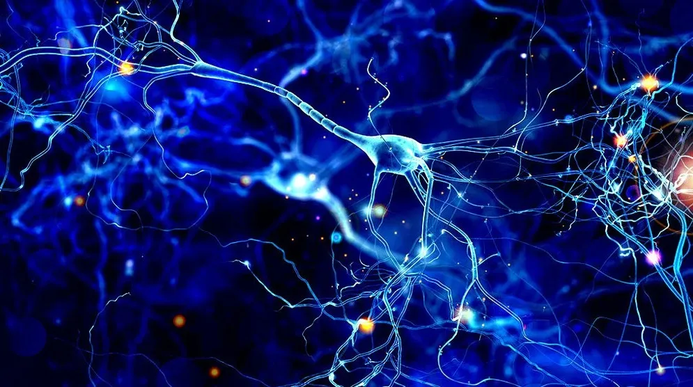 [Sigh Energy] Процесс улучшения мозга - Brain Improvement Process Powerful Plus +11x Extra Strong