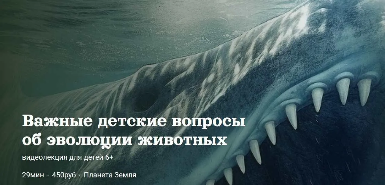 [Детский лекторий] Важные детские вопросы об эволюции животных (Александр Толмачев)