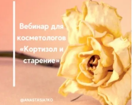[Semko School] Вебинар для косметологов «Кортизол и старение» (Анастасия Семко)