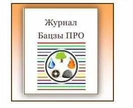 Онлайн журнал. Бацзы ПРО. Советы, подсказки, интересные примеры от практикующего специалиста Бацзы