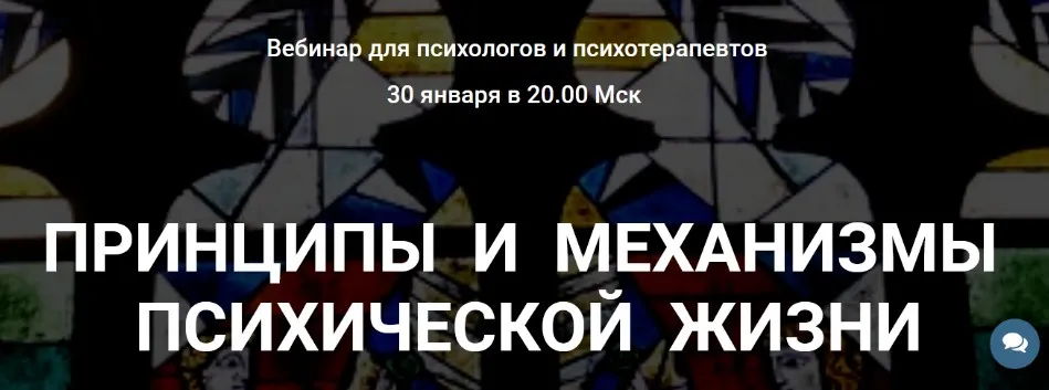 Принципы и механизмы психической жизни (Надежда Майн)