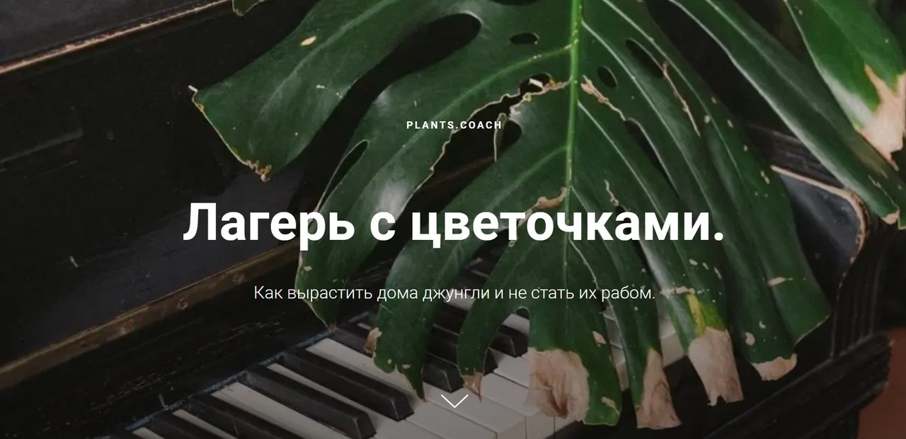[Plants.Coach] Лагерь с цветочками 2.0 (Яна Строинская)