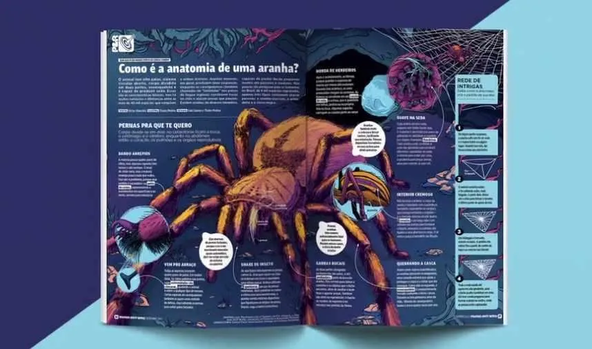[Domestika] Инфографика. Объединяй искусство и информацию (Фалес Молина)