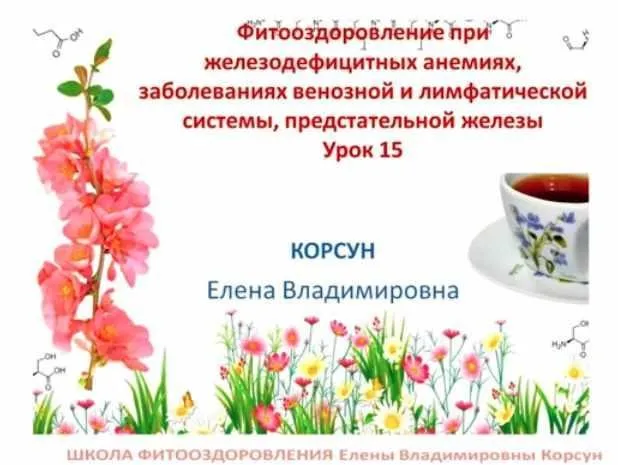 Фитооздоровление при анемиях, заболеваниях лимфасистемы, предстательной железы (Елена Корсун)