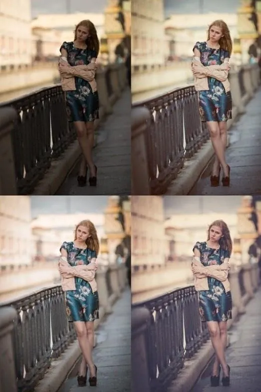Система пресетов для Camera Raw 7, 2013 (Евгений Карташов)