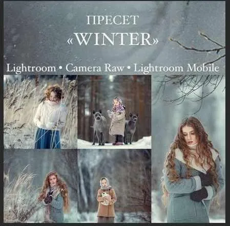 Пресет Winter (Анна Мельникова)