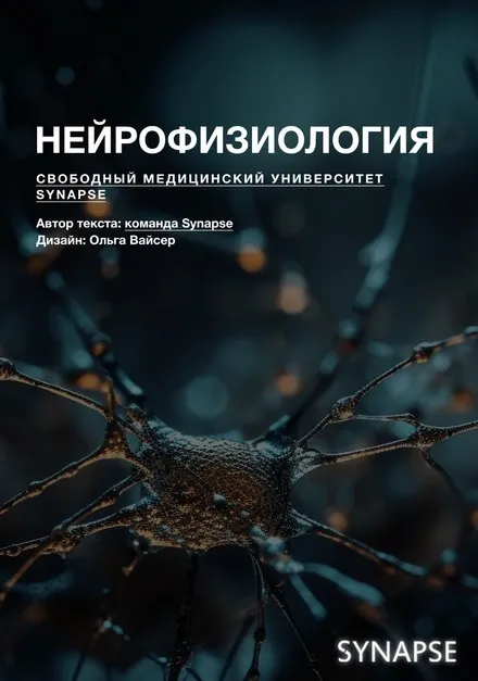 [Synapse] Методичка по нейрофизиологии