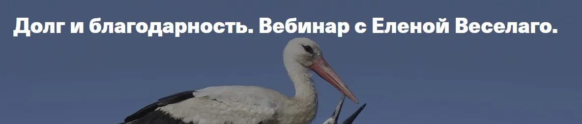Долг и благодарность (Елена Веселаго)