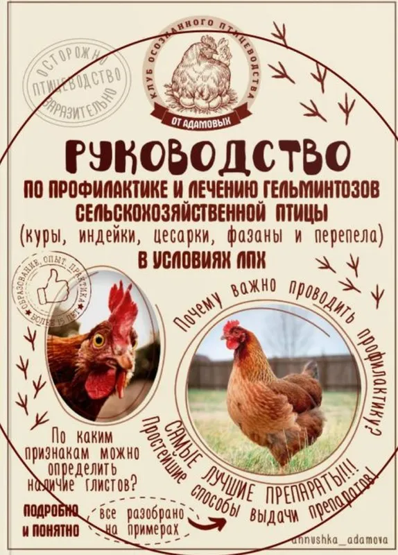 Руководство по профилактике и лечению гельминтозов сельскохозяйственной птицы в условиях ЛПХ (Анна Адамова)