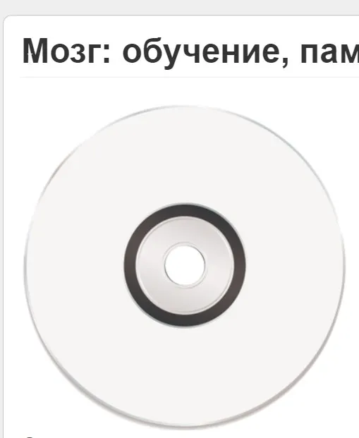 Мозг обучение, память, информатории (Вячеслав Губанов)