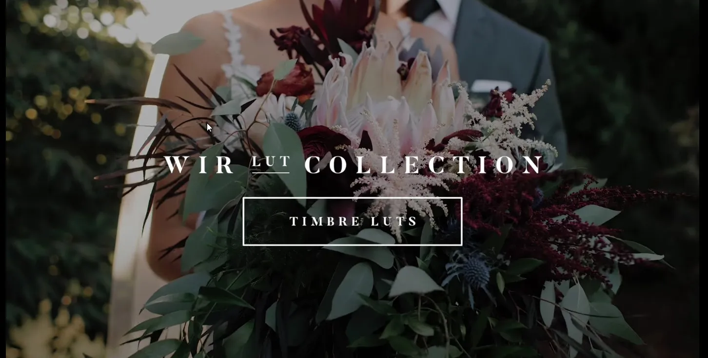 Свадебные Луты для Видео. Timbre Lut, cube (White In Revery)
