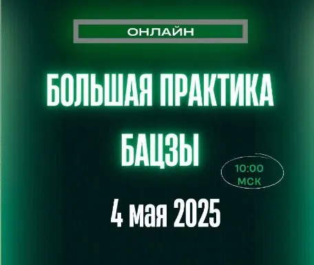 Большая Практика Бацзы (Оксана Сахранова)