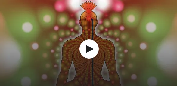 [Udemy] Продвинутая Кундалини и Золотое Рэйки - два курса в одном (Нарделла Бернардино)