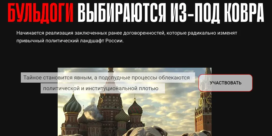 Бульдоги выбираются из под ковра (Валерий Соловей)