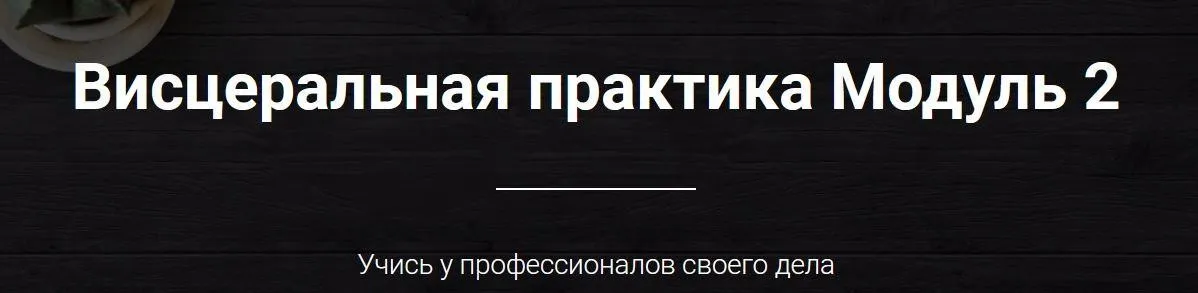 [Emnika] Висцеральная практика. Модуль 2 (Егор Москалёв)