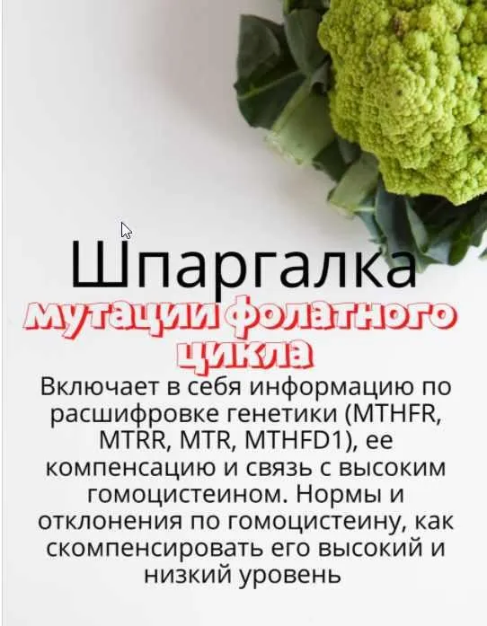 [kpuctakl] Шпаргалка «Мутации фолатного цикла» (Кристина Трофимова)