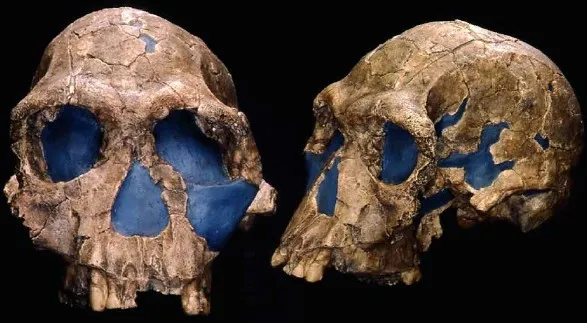[Архэ] Ранние Homo: загадочный миллион и неумелые руки человека умелого (Станислав Дробышевский)