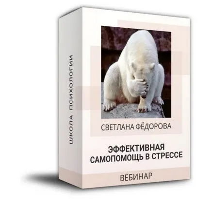 Эффективная самопомощь в стрессе (Светлана Федорова)