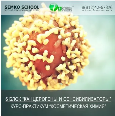 [7koschool] Косметическая химия. Блок 6 «Канцерогены и Сенсибилизаторы» (Анастасия Семко)