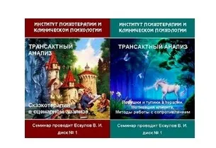 Трансактный анализ. Циклы 4, 5  (Владимир Есаулов)