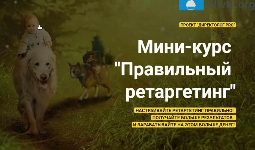 Мини-курс «Правильный ретаргетинг» (Михаил Сабанин)