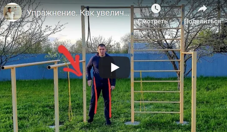 Здоровые суставы и мышцы. Часть 6 (Антон Алексеев)