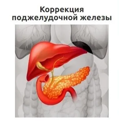 Коррекция поджелудочной железы (Юджиния Квант)