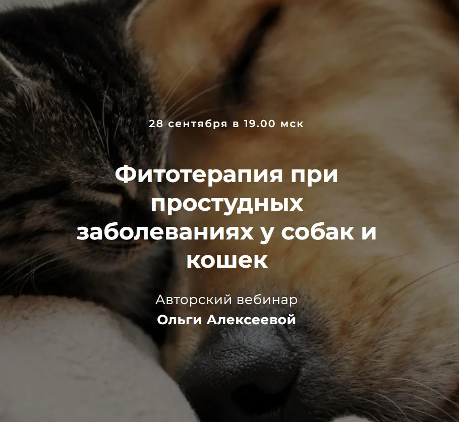 Фитотерапия при простудных заболеваниях у собак и кошек (Ольга Алексеева)