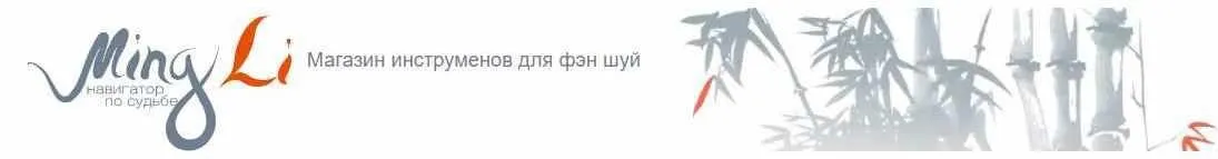 ЦМДЗ уровень 4 -Чтение Жизни по Ци Мэнь Дунь Цзя (Наталья Цыганова)