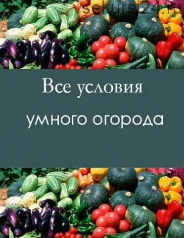 Все условия умного огорода (Николай Курдюмов)