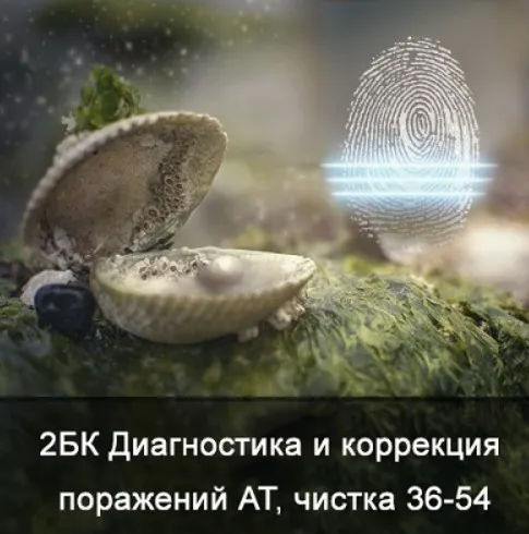 2БК Диагностика и коррекция поражений АТ, чистка от 36 до 54 лет (Ксения Меньшикова)