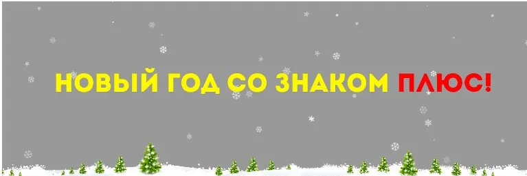 Новый год со знаком плюс. 2025 год (Нинель Смолина)