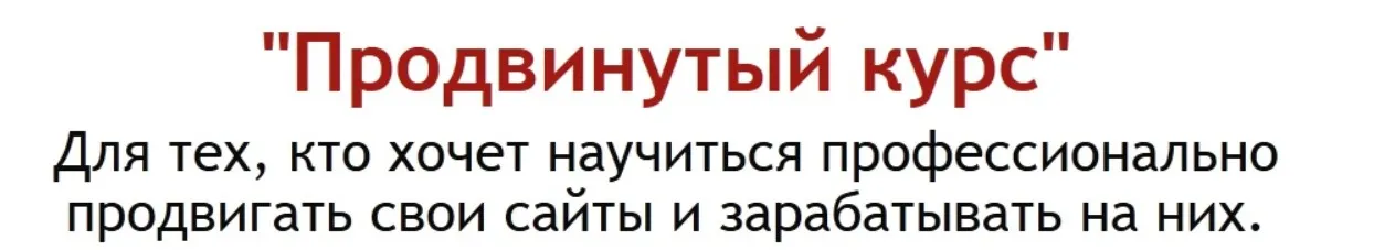 Продвинутый курс по созданию и монетизации сайтов 2015 (Михаил Гаврилов, Александр Козлов)