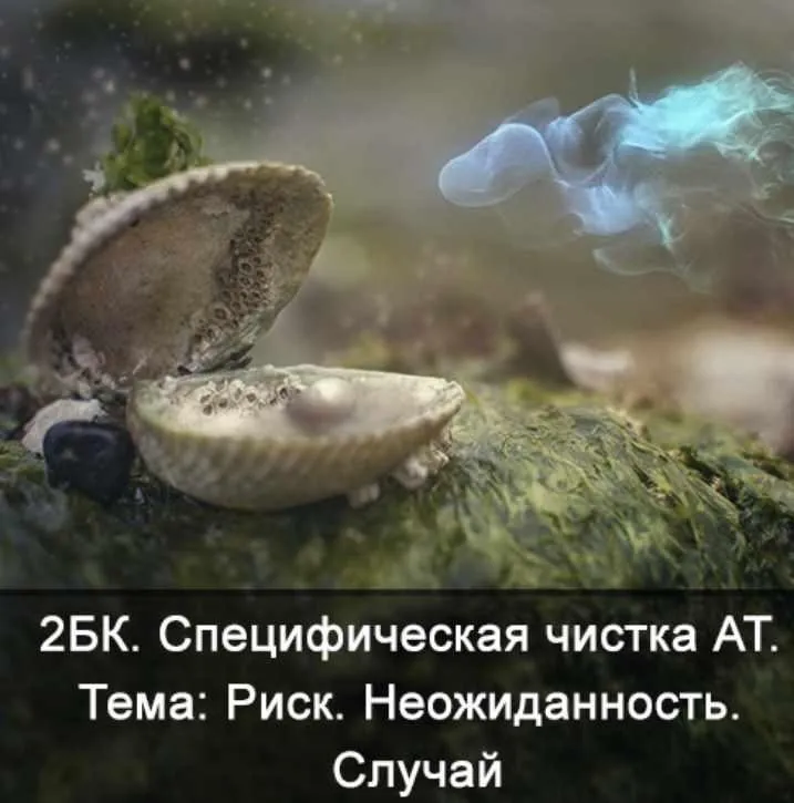 2БК Специфическая чистка астрального тела. Тема: Риск, неожиданность (Ксения Меньшикова)