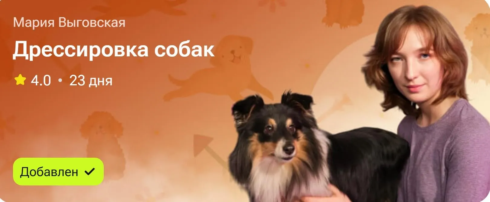 Дрессировка собак (Мария Выговская)