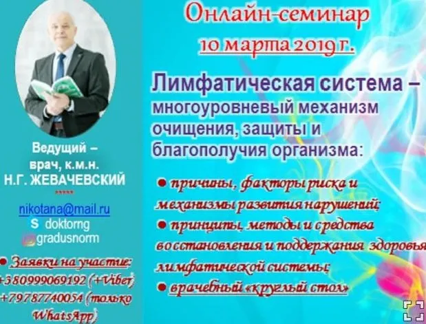Лимфатическая система (Жевачевский)