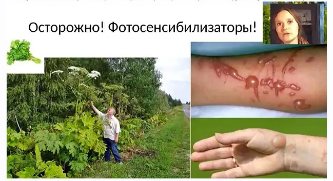 Солнцезащитные средства своими руками (Ольга Дзюбан)