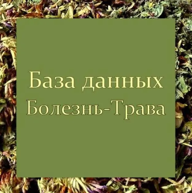 [Школа Травоведа] База данных Болезнь-Трава (Сергей Апполонов)