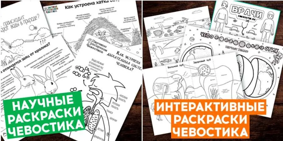 [chevostik] Большая коллекция научных раскрасок Чевостика