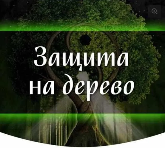 [Скандинавская школа Магии и Таро] Ритуал Защита на дерево (Марина Серебрякова)