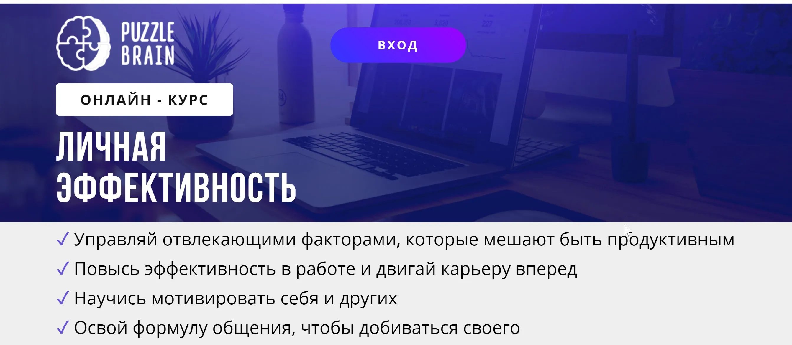 [Puzzlebrain] Курс «Личная эффективность» (Вячеслав Погонышев)