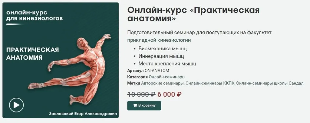 [Сандал] Практическая анатомия (Егор Заславский)
