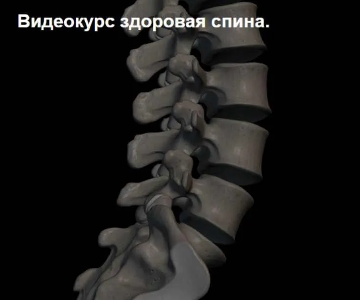 Здоровая спина (Владимир Кравцов)