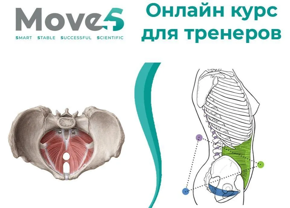 [move4s] Тазовая диафрагма (Леля Савосина)